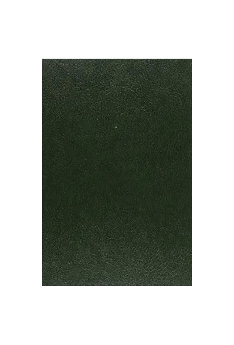 LE PRISONNIER DESCONFORTE DU CHATEAU DE LOCHES.