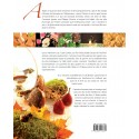 DELICES D'AUTOMNE ET D'HIVER. RECETTES DE DAMIEN COCHE ET SON EQUIPE (DOMAINE DE CHATEAUVIEUX)