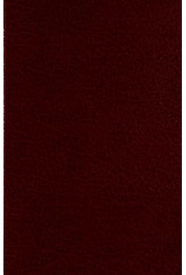 LES VIES ANCIENNES DE SAINTE-GENEVIEVE DE PARIS. ETUDES CRITIQUES.