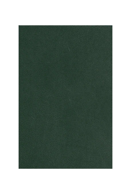 OEUVRES POETIQUES COMPLETES. TOME VI. IDYLLES PRUSSIENNES. TRENTE-SIX BALLADES JOYEUSES. RONDELS.