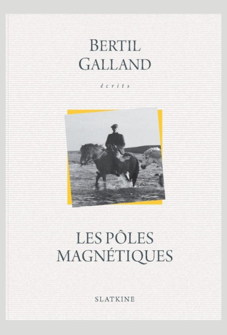 LES PÔLES MAGNÉTIQUES