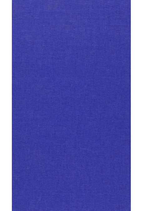 AMI ET AMILE, UNE CHANSON DE GESTE DE L'AMITIÉ