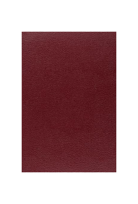 LE LECTEUR, L'AUTEUR ET L'ECRIVAIN. MONTAIGNE 1492, 1592, 1992.