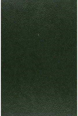 LE PRISONNIER DESCONFORTE DU CHATEAU DE LOCHES.